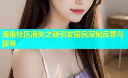 海角社区消失之谜引发居民深刻反思与探寻