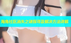 海角社区消失之谜探寻及解决方法详解