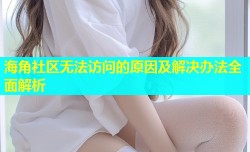 海角社区无法访问的原因及解决办法全面解析