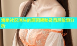 海角社区消失的原因揭秘及背后故事分析