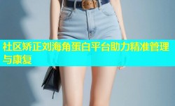 社区矫正刘海角蛋白平台助力精准管理与康复