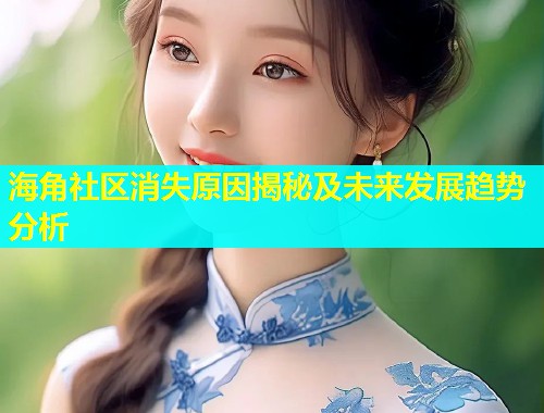 海角社区消失原因揭秘及未来发展趋势分析  第1张